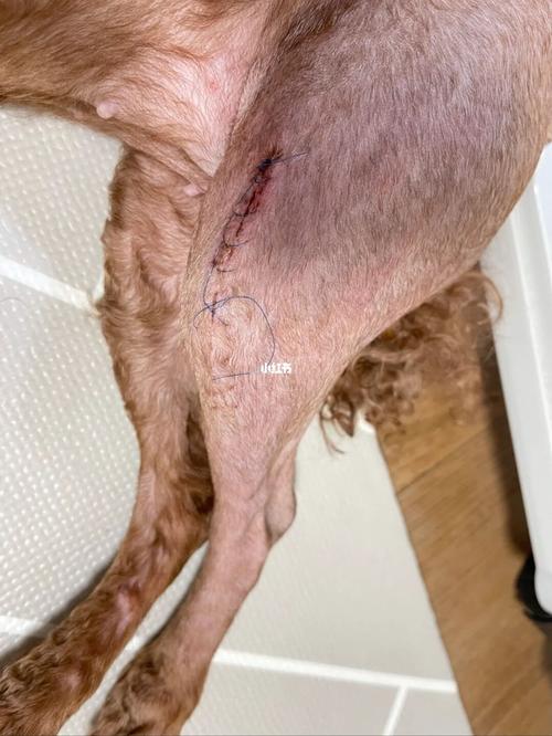 20221201152350_69283