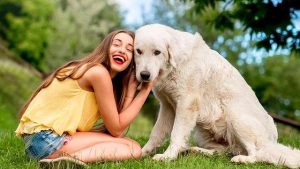 狗妈妈含小狗_小狗多大狗妈妈就不管了-警犬训练器材厂家 _警犬训练用品_工作犬训练用品-南京开久警犬装备