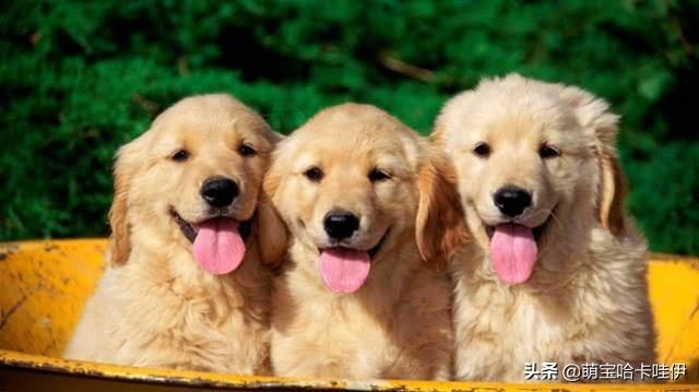 20221201153938_38204 20221201153938_38204