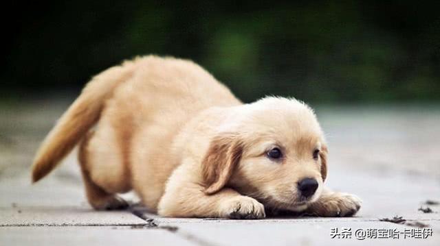 20221201153939_49737 20221201153939_49737