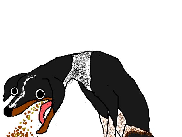 小狗呕吐拉稀没精神(小狗呕吐拉稀没精神怎么办) - 警犬训练器材厂家 _警犬训练用品_工作犬训练用品-南京开久警犬装备-警犬训练器材厂家 _警犬训练用品_工作犬训练用品-南京开久警犬装备