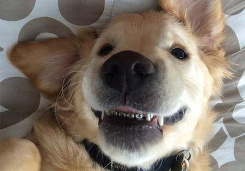 20221201161749_77778 20221201161749_77778