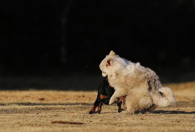 20221201164447_61987 20221201164447_61987