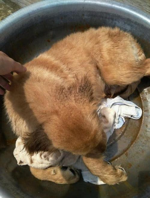 20221201165017_53104