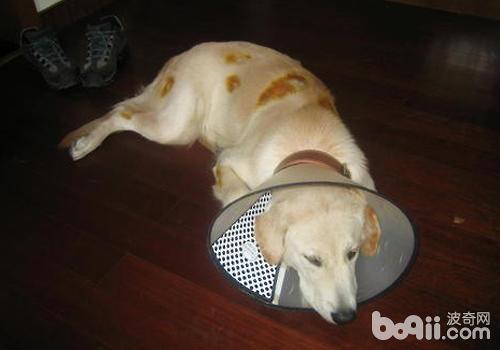 20221201190429_56248