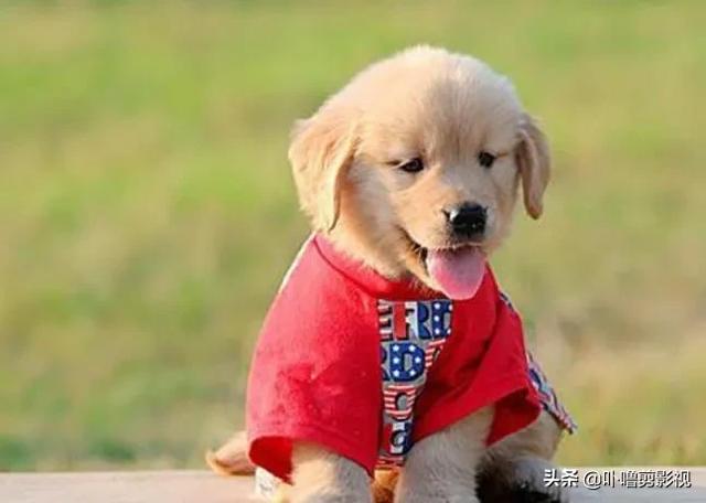 20221201191046_49642