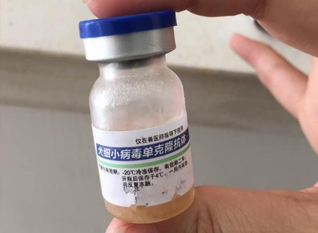 狗狗的细小体温36.5度，狗狗细小体温低 - 警犬训练器材厂家 _警犬训练用品_工作犬训练用品-南京开久警犬装备-警犬训练器材厂家 _警犬训练用品_工作犬训练用品-南京开久警犬装备