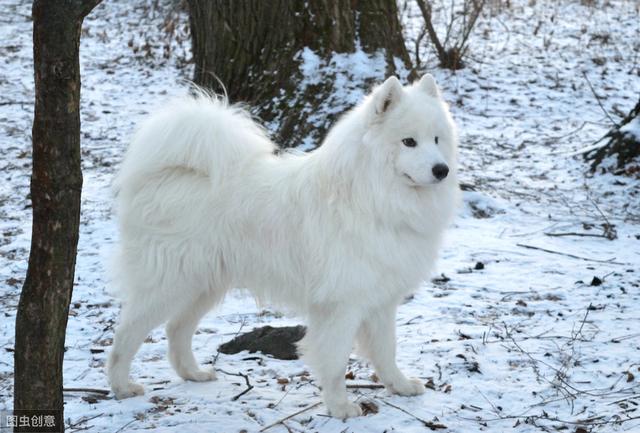 20221201191453_71956 20221201191453_71956