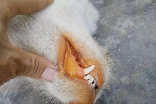 20221201192611_35031 20221201192611_35031