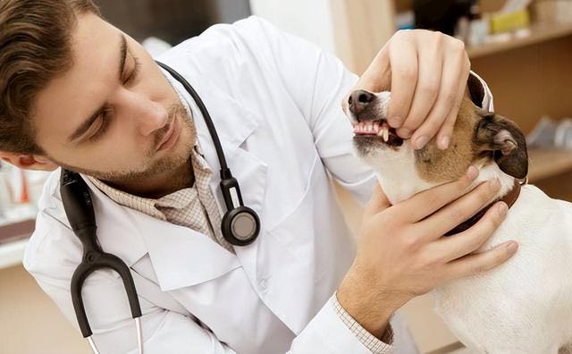 20221201192611_77376 20221201192611_77376