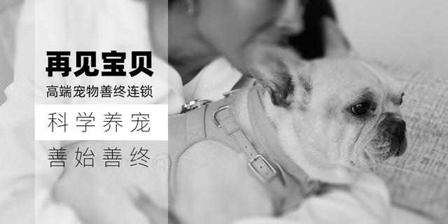 20221201192745_28257 20221201192745_28257