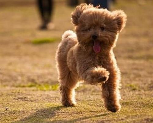 20221201203129_74472