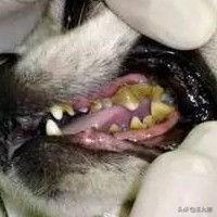 20221202103845_83177