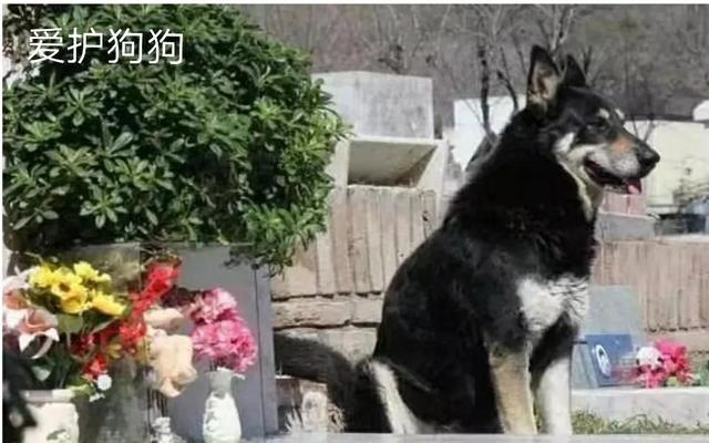 20221202135112_87624