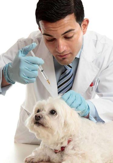 20221202150654_92803 20221202150654_92803