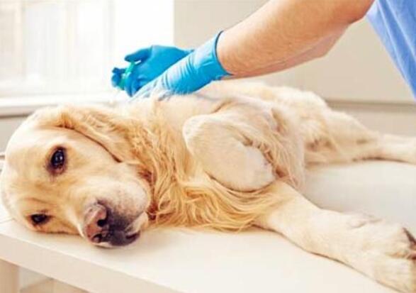 20221202154344_81081 20221202154344_81081