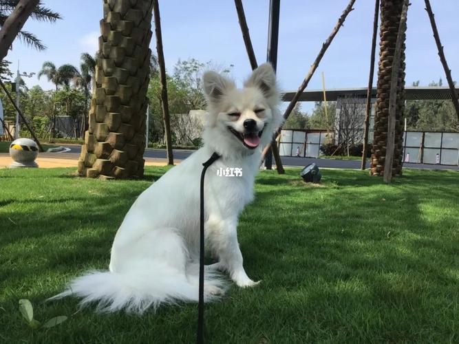 20221202193924_77235