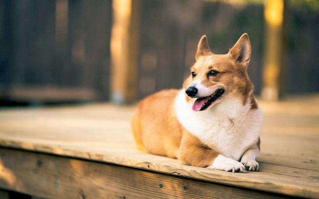 20221202204540_59318