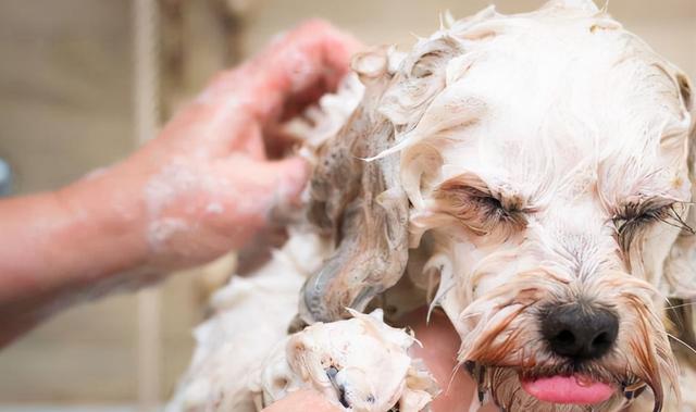 20221202204720_23641