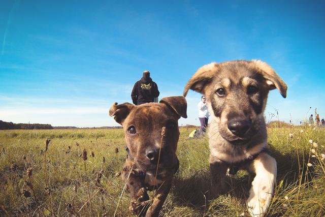 20221202204720_86211