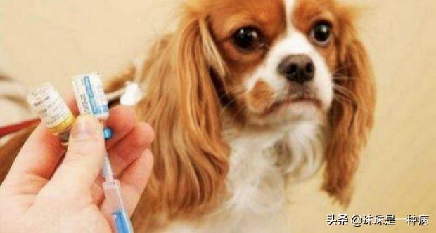 20221203090053_19978