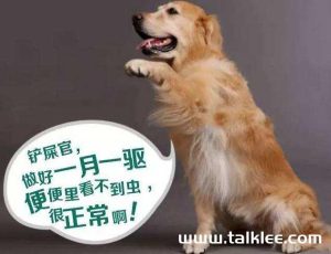 狗狗吃杀虫药后反应(狗狗吃了杀虫药)-警犬训练器材厂家 _警犬训练用品_工作犬训练用品-南京开久警犬装备