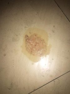 狗狗拉软屎有透明物(狗狗拉的屎很软怎么办)-警犬训练器材厂家 _警犬训练用品_工作犬训练用品-南京开久警犬装备