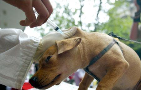 20221203122145_97317