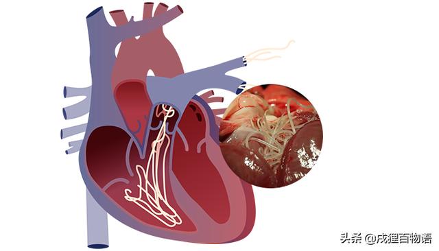 20221203135311_23722 20221203135311_23722