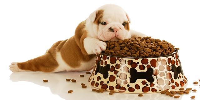 20221203150659_39403 20221203150659_39403