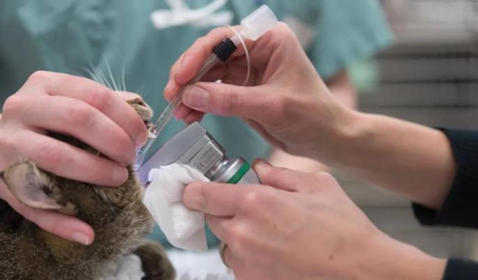 20221203160136_55394