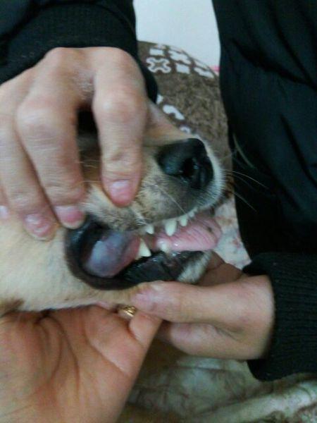 20221203160136_59758