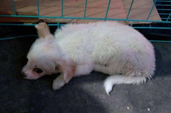 20221203161214_45973