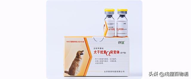 得细小狗喂食(小狗出生多久可以喂食) - 警犬训练器材厂家 _警犬训练用品_工作犬训练用品-南京开久警犬装备-警犬训练器材厂家 _警犬训练用品_工作犬训练用品-南京开久警犬装备