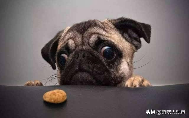 20221204154206_35762