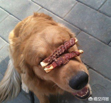 20221204201038_39273