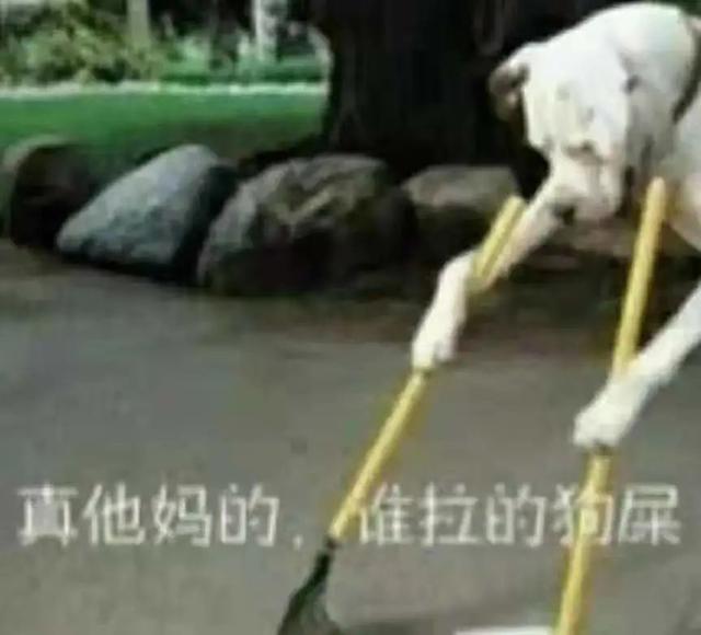 20221204222003_19327