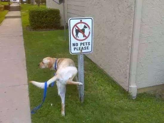 20221204222004_67120