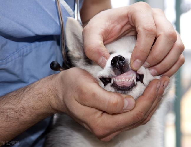 20221205090320_35690 20221205090320_35690