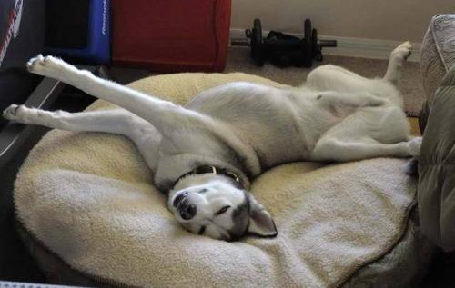 20221205114651_27722 20221205114651_27722