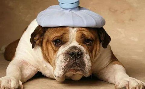 20220421044150165048731025570 20220421044150165048731025570