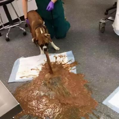 20220421045814165048829477678