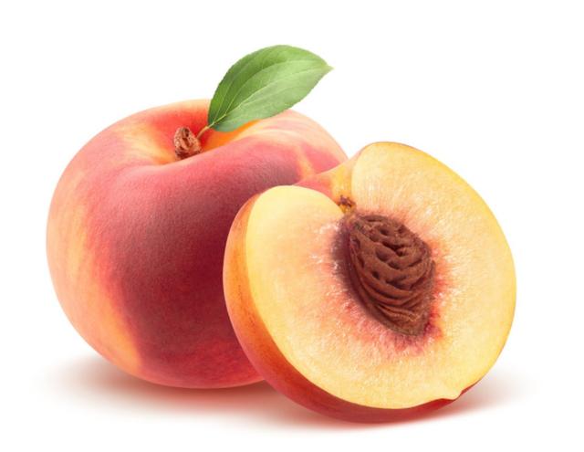 20220421045818165048829897082