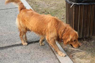 20220603160642165424360256976 20220603160642165424360256976