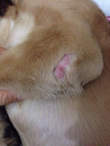 20221031124830_62739