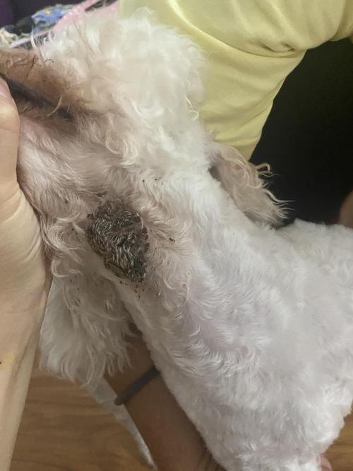 20221031124831_76006