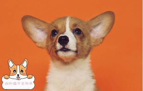 20221031125404_65997