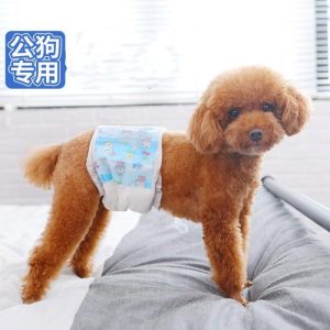 小狗一天在尿垫上尿了多次-警犬训练器材厂家 _警犬训练用品_工作犬训练用品-南京开久警犬装备