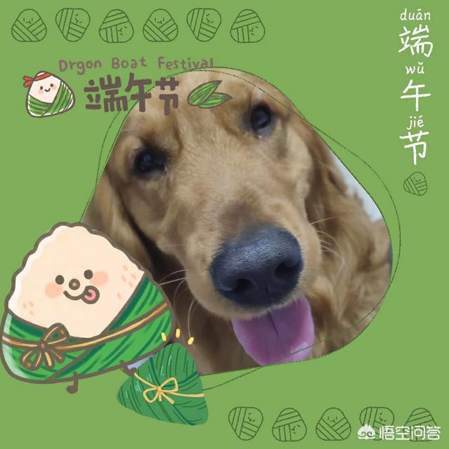 20221103004352_23492 20221103004352_23492