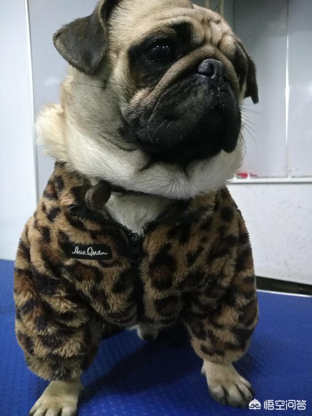 20221103004352_74881 20221103004352_74881